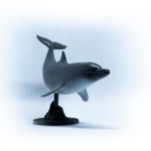 Atlantic Bottlenose Dolphin (Tursiops truncatus) Oceanic Miniature