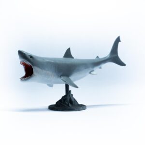 Great White Shark (Carcharodon carcharias) Oceanic Miniature