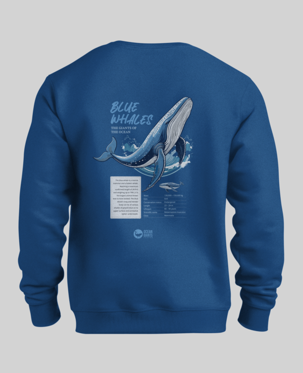 Blue whales giants of the ocean sweatshirt front and back prints