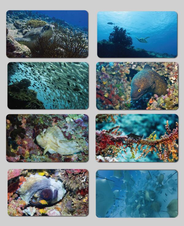 underwater postcards by ocean phantom