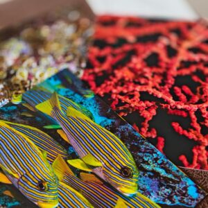 Raja Ampat Postcards
