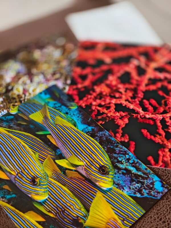 Raja Ampat Postcards